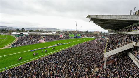 cheltenham tips thursday|Cheltenham tips for Thursday: Best bets for day three of the 2023 .